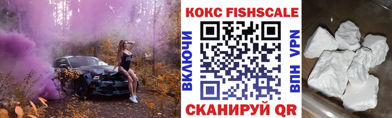 купить закладку  Коряжма  COCAIN Fish Scale 