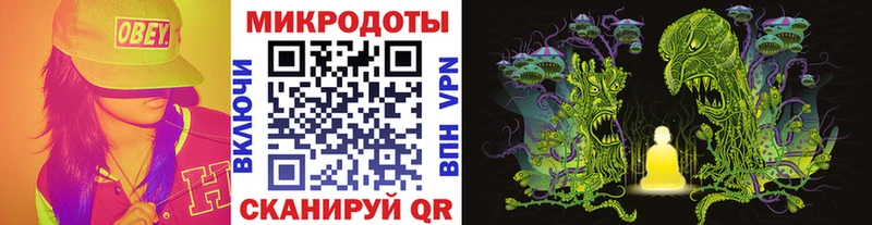 Галлюциногенные грибы Psilocybine cubensis  Коряжма 