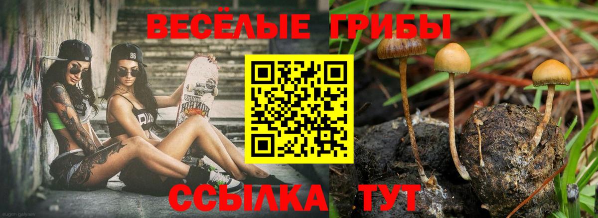 Псилоцибиновые грибы ЛСД  Галлюциногенные грибы мухоморы  Коряжма  Вход с VPN 